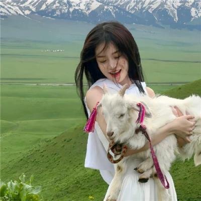 无为大师第三季